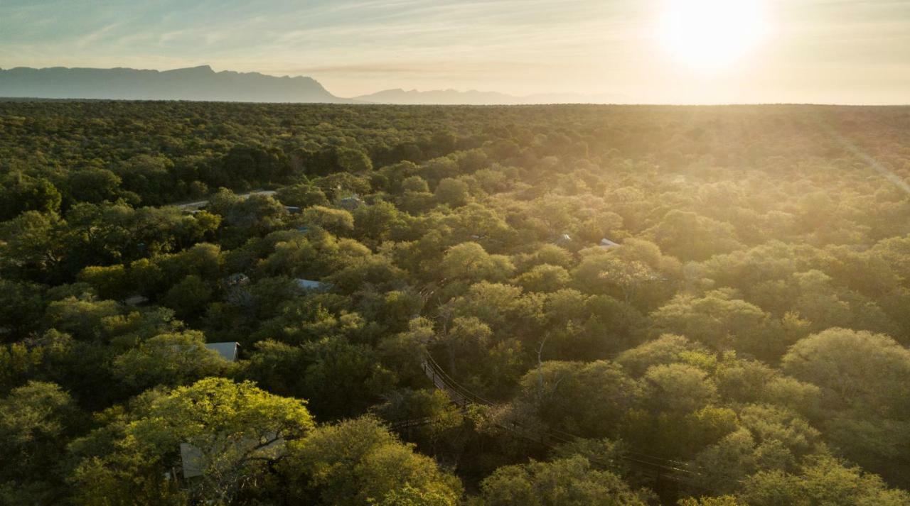Vuyani River Hoedspruit